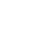 Expert Customs & Inspection Clearance