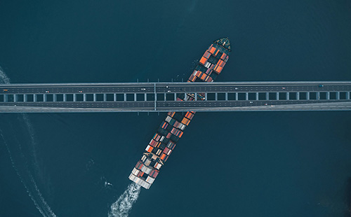 Why Should Businesses Choose Container Sea Freight Services with Balance Logistics?