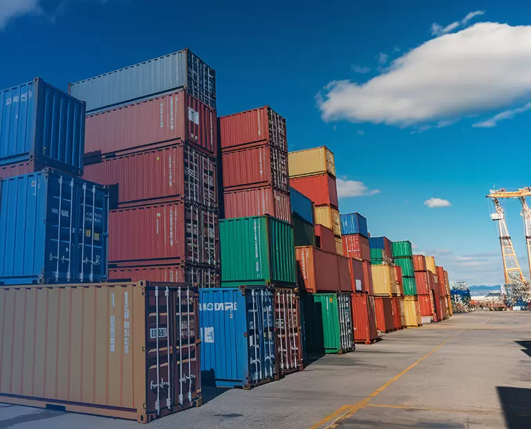 Customs Clearance & Inspection