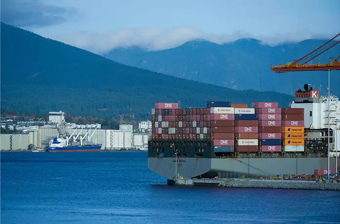 Door to Door Ocean Freight Services for Cargo Worldwide Trade